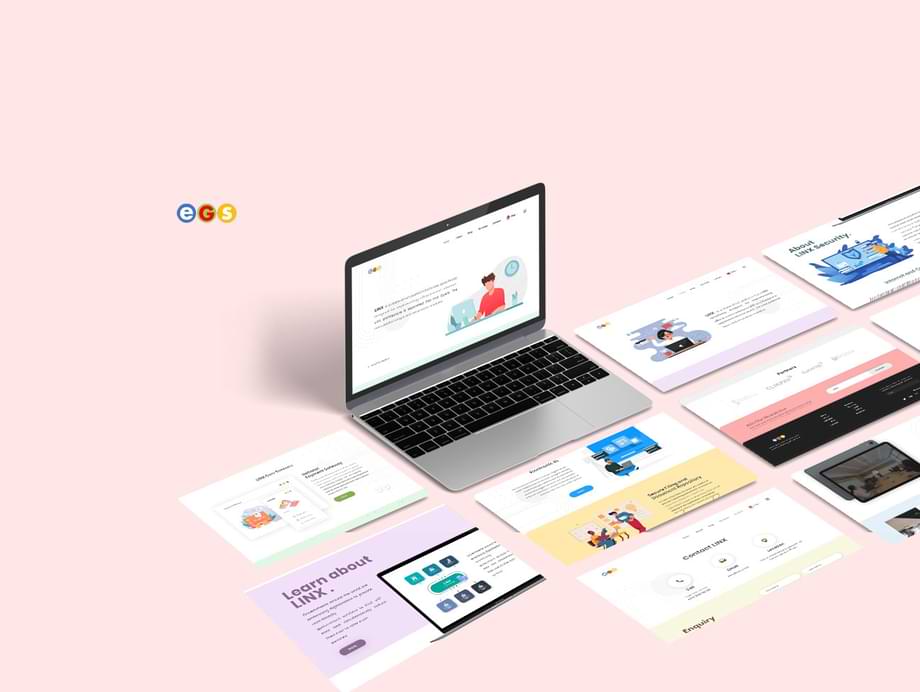 EGS Linx website development
