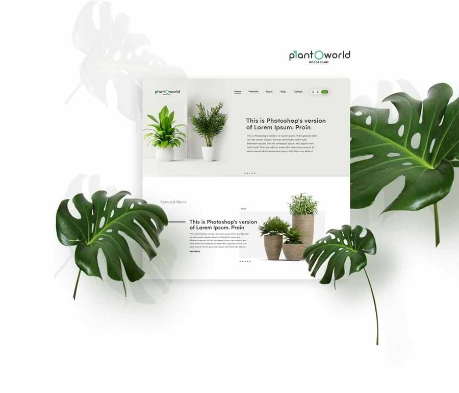Website development of plant o world