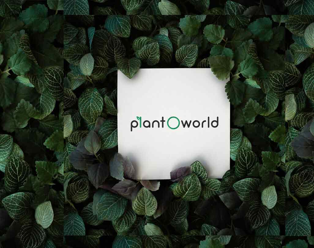 Logo design of Plant o world
