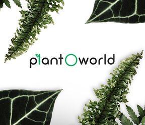 Seo of plant o world
