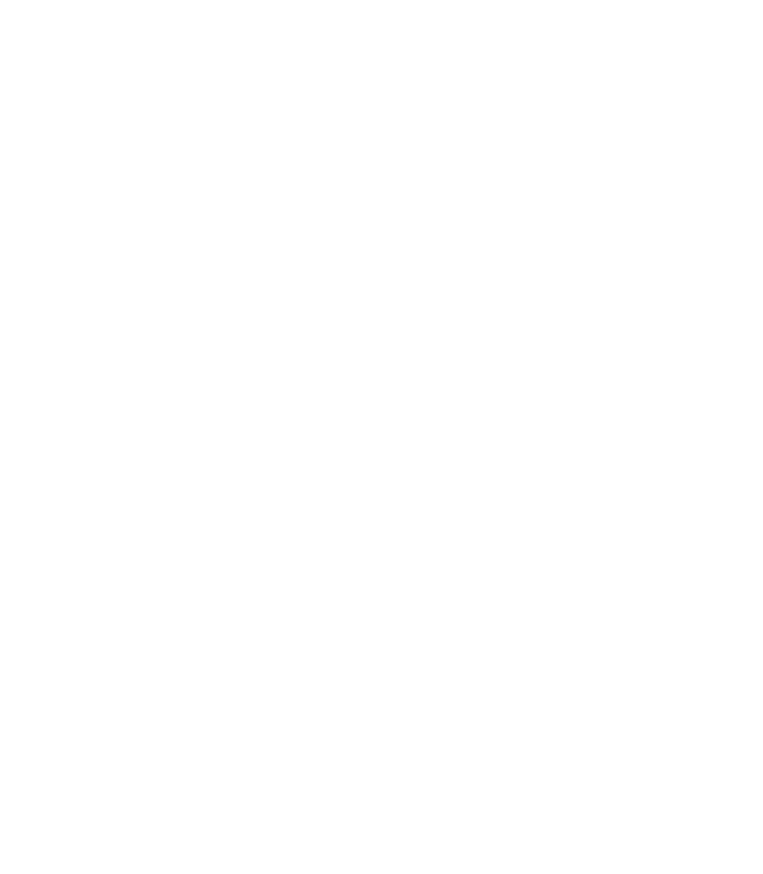 saihasoft logo