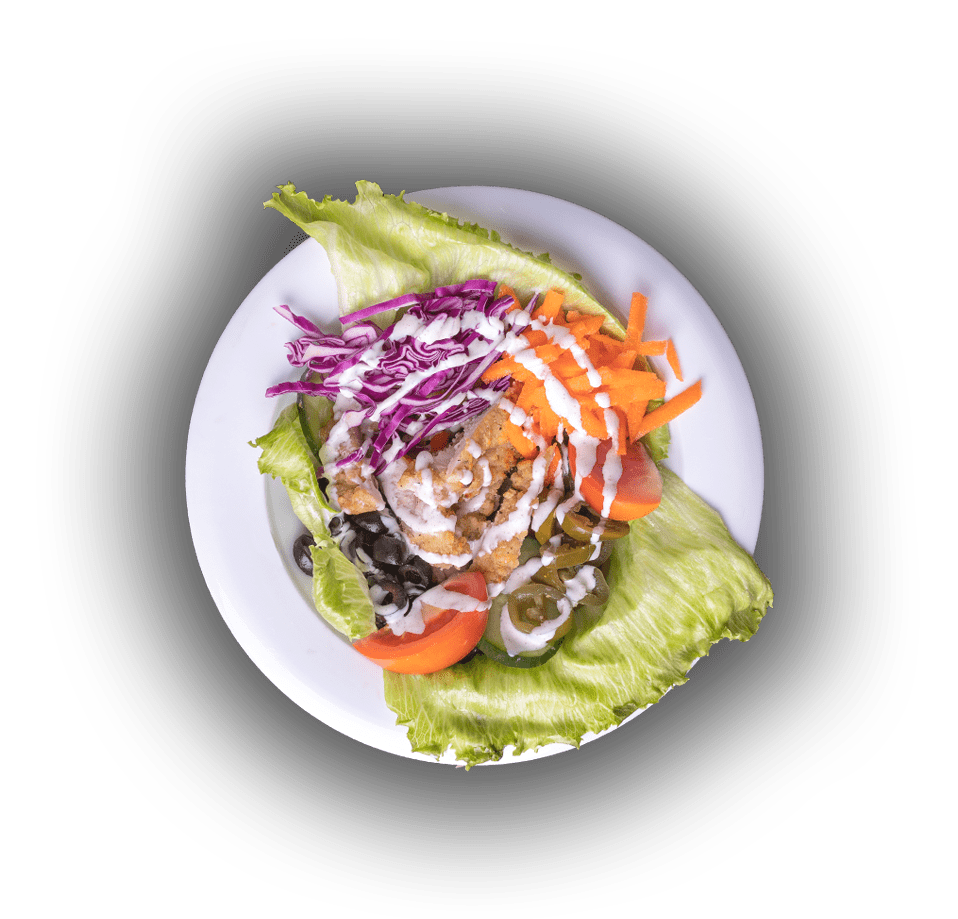 A colorful salad featuring fresh lettuce, shredded carrots, and chopped cabbage served on a white plate