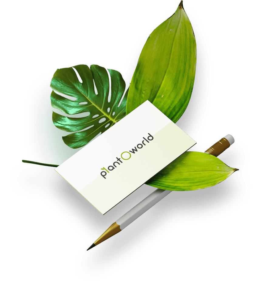 A business card featuring a leaf design alongside a sleek pen, symbolizing professionalism and nature-inspired branding.
