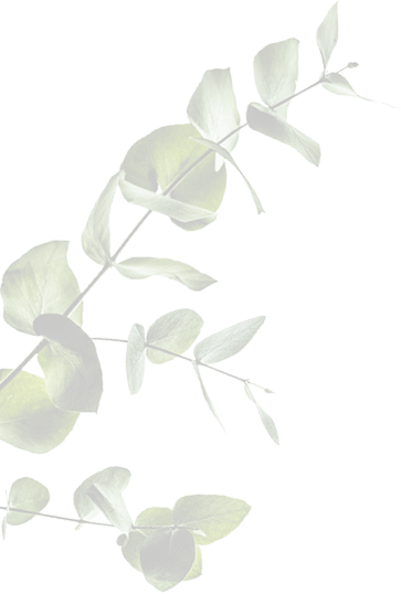  A branch adorned with vibrant green leaves, showcasing the beauty of nature in a serene setting.